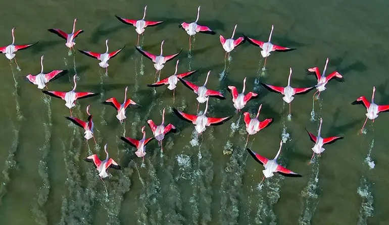 میانکاله، برزخ بهشت ایران